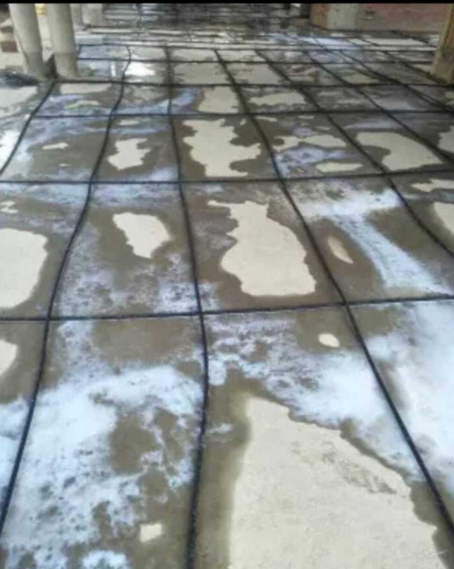 Pipeline used for pipeline pest treatment and inspection